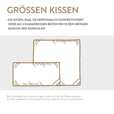 Daunenkissen 3-Kammer Spessarttraum Bronze, 90 % Daunen / 10 % Federn (Außen)